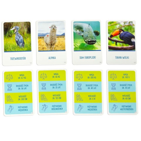 Gra edukacyjna Na tropie gra dla ciekawskich 8+ MULTIGRA Alexander