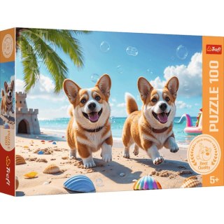 Trefl: Puzzle 100el. - Corgi-piesek