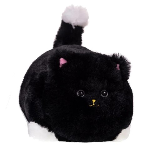 Interaktywny kot czarny