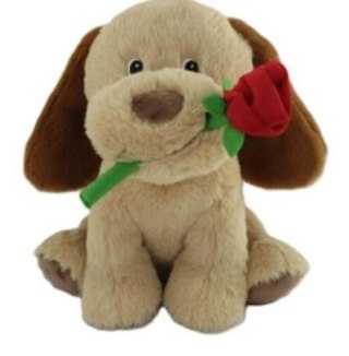 Piesek pluszowy z różą 35cm