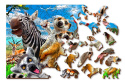 Puzzle drewniane układanki Zwierzęta z Madagaskaru rozmiar M