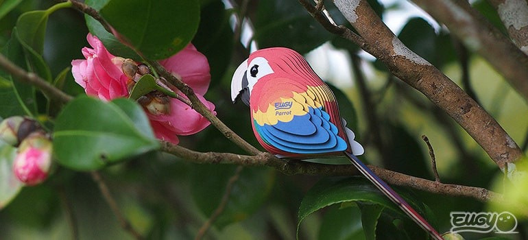 Puzzle 3D Papuga Eugy dla dzieci
