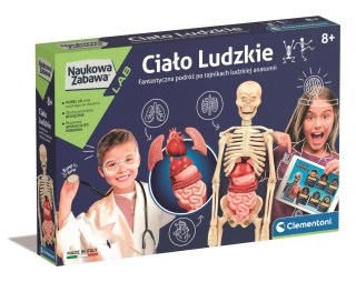 Ciało Ludzkie | Naukowa zabawa