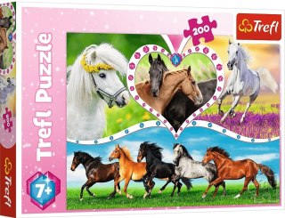 Trefl: Puzzle 200el. - Piękne konie