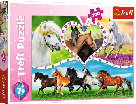 Trefl: Puzzle 200el. - Piękne konie Trefl: Puzzle 200el. - Piękne konie