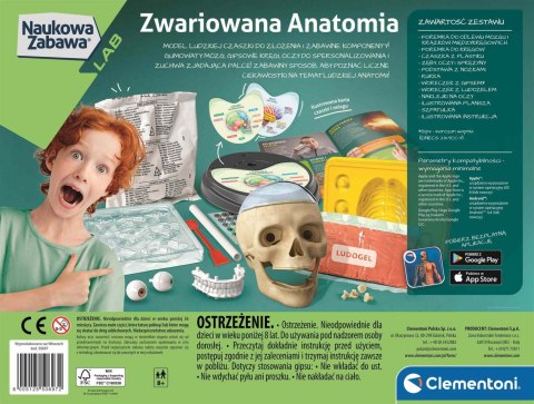 Anatomia | Naukowa zabawa Anatomia | Naukowa zabawa