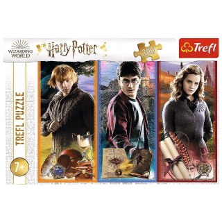 Trefl: Puzzle 200el. - W świecie magii i czarów