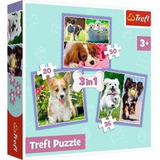 Trefl: Puzzle 3w1 - Urocze pieski