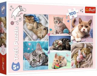 W kocim świecie | Puzzle 100el. | Trefl