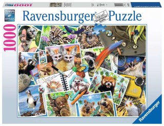 Ravensburger: Puzzle 1000el. - Zwierzaki w podróży