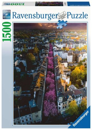 Ravensburger - Puzzle 2D 1500 elementów: Bonn. Niemcy