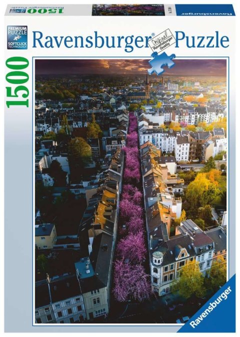 Ravensburger - Puzzle 2D 1500 elementów: Bonn. Niemcy