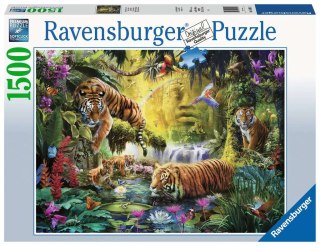 Ravensburger - Puzzle 2D 1500 elementów: Spokojne tygrysy