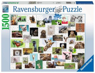 Ravensburger - Puzzle 2D 1500 elementów: Zabawne zwierzaki