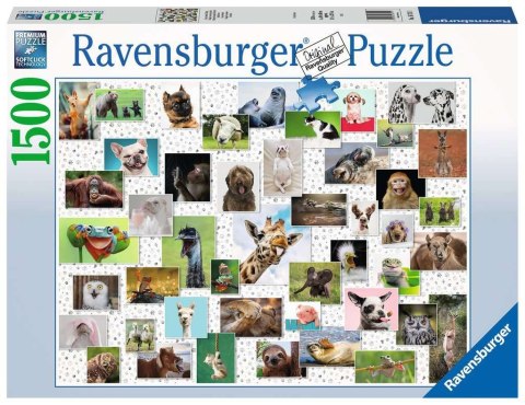 Ravensburger - Puzzle 2D 1500 elementów: Zabawne zwierzaki