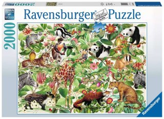 Ravensburger - Puzzle 2D 2000 elementów: Dżungla