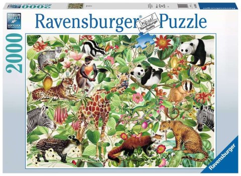 Ravensburger - Puzzle 2D 2000 elementów: Dżungla