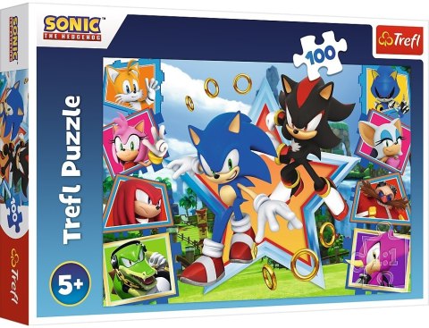Trefl: Puzzle 100el. - Sonic Trefl: Puzzle 100el. - Sonic