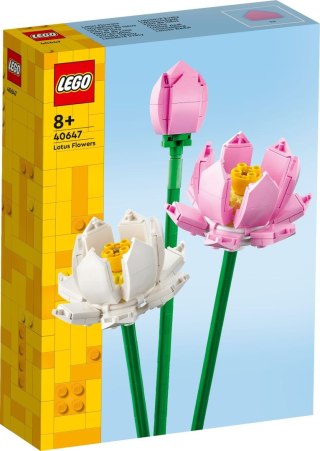 40647 | Kwiaty lotosu