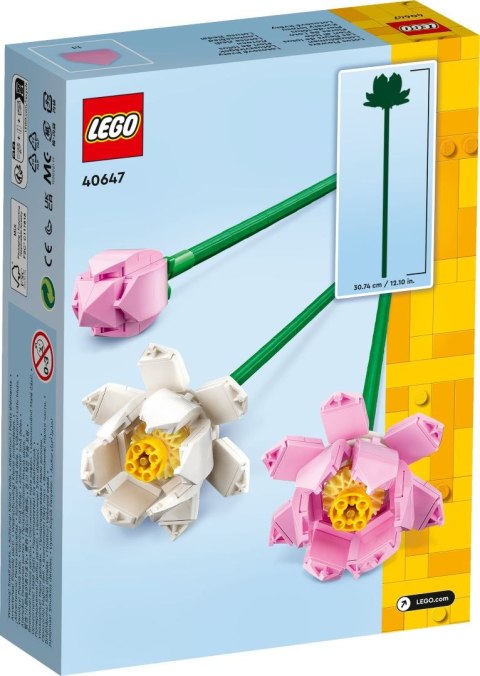 40647 | Kwiaty lotosu