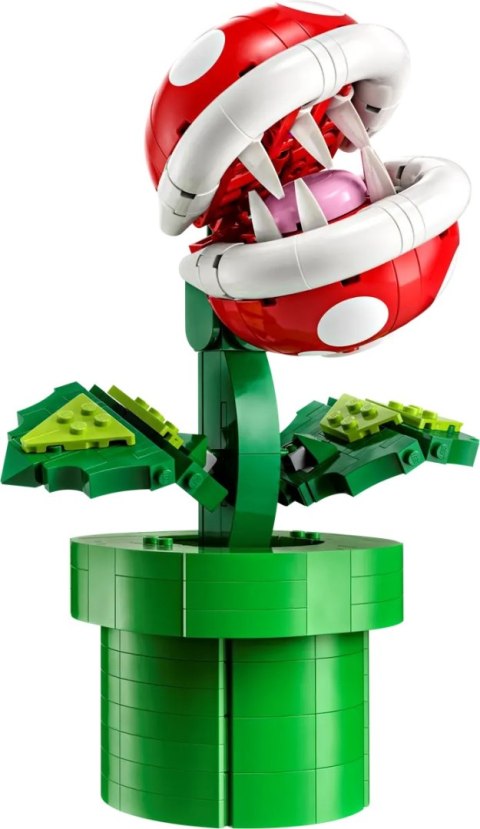 71426 | Kwiatek Pirania