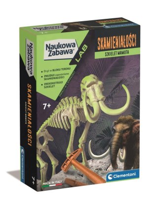 Mamut | Skamieniałości