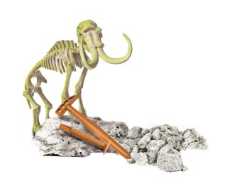 Mamut | Skamieniałości