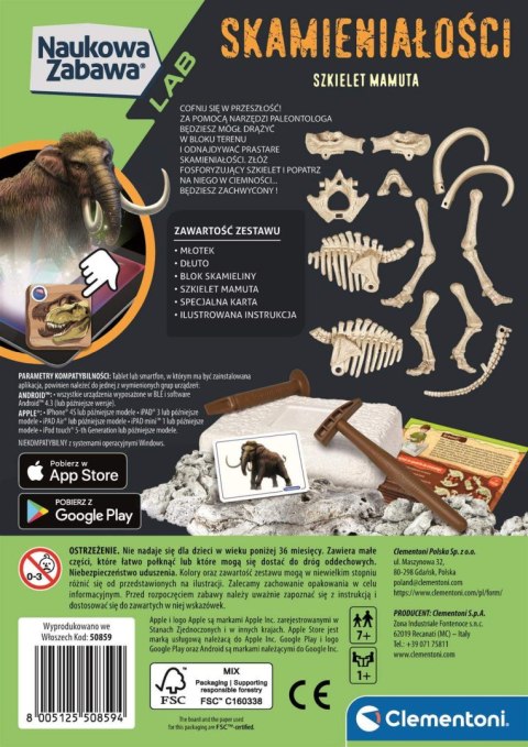 Mamut | Skamieniałości Mamut | Skamieniałości