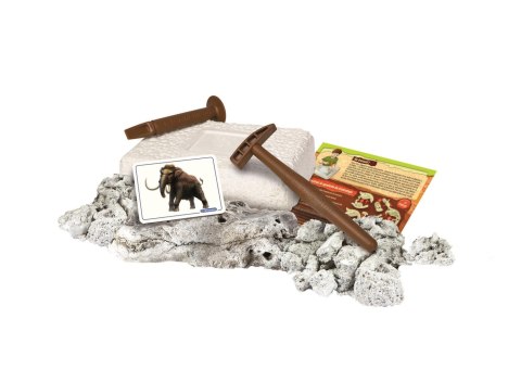 Mamut | Skamieniałości Mamut | Skamieniałości