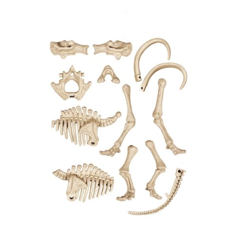 Mamut | Skamieniałości Mamut | Skamieniałości
