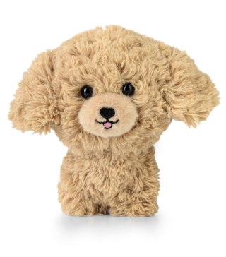 Teddy Pets - Maskotka Golden Poodle
