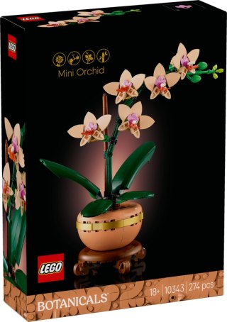 10343 | Mała Orchidea