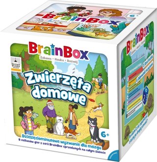 Rebel - BrainBox - Zwierzęta domowe