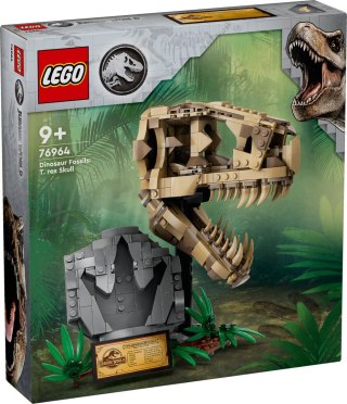 76964 | Szkielety dinozaurów - czaszka tyranozaura