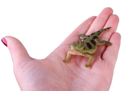 Gady jaszczurki Zestaw jaszczurek 6szt ZA4189 Gady jaszczurki Zestaw jaszczurek 6szt ZA4189