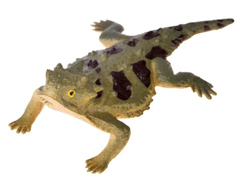 Gady jaszczurki Zestaw jaszczurek 6szt ZA4189 Gady jaszczurki Zestaw jaszczurek 6szt ZA4189