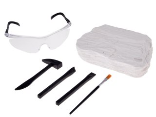 Zestaw archeologiczny Wykop niespodziankę skamieniałe LIŚCIE i KOŚCI ZA5753