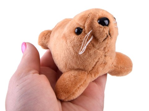 Pluszowe zwierzątka oceanu z piszczałką - Foczka Delfin Orka Rekin ZA5779