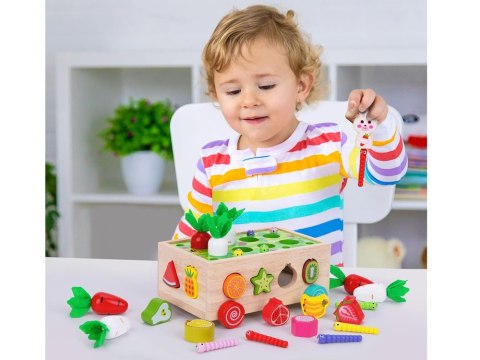 Sorter Montessori drewniany wózek złap robaczka marchewki układanka ZA5903