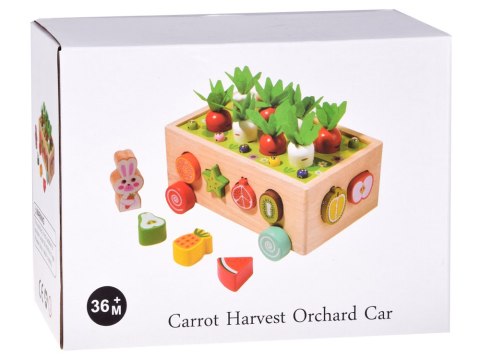 Sorter Montessori drewniany wózek złap robaczka marchewki układanka ZA5903