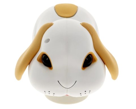 Epee: Bobek - Niesforny Króliczek - Gra zręcznościowa