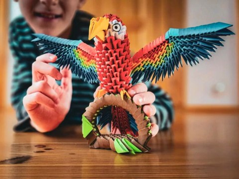 Alexander zestaw kreatywny Origami 3D - Papuga ZA6074