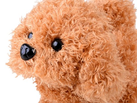 Interaktywny Piesek zestaw mały weterynarz akcesoria transporter ZA4356