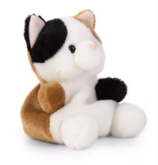 Palm Pals - Maskotka Kot