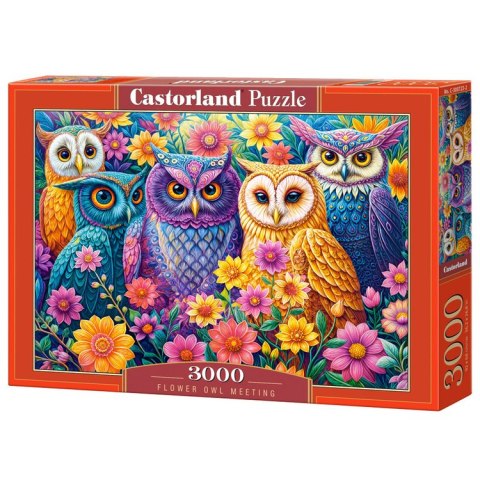 Puzzle 3000-elementów Flower Owl Meeting C-300723-2