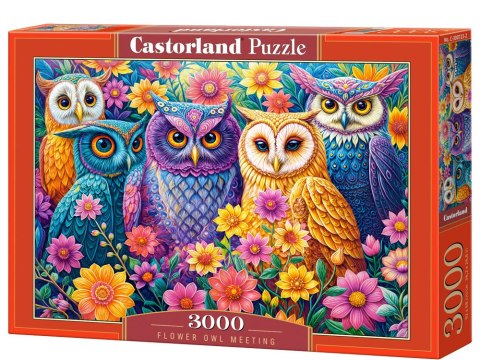 Puzzle 3000-elementów Flower Owl Meeting C-300723-2