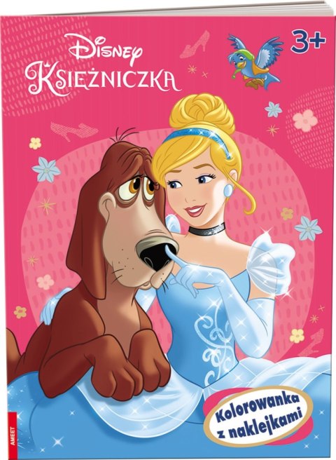 Ameet: DISNEY Princess - Kolorowanka Z Naklejkami