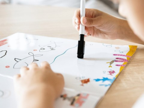 Kapitan Nauka Bazgraki uczą się rysować. Zwierzęta KS1198