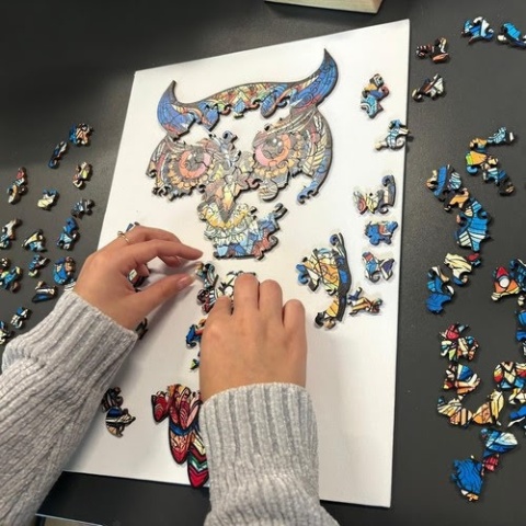 Puzzle drewniane układanki SOWA 38 x 21 cm